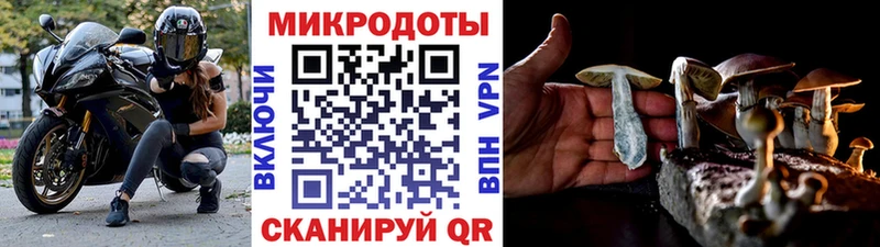 Псилоцибиновые грибы MAGIC MUSHROOMS  darknet клад  Талица 